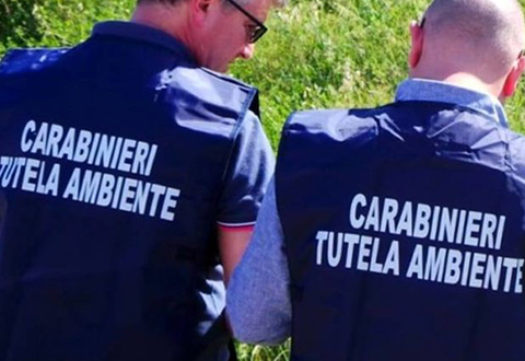 carabinieri noe evidenza