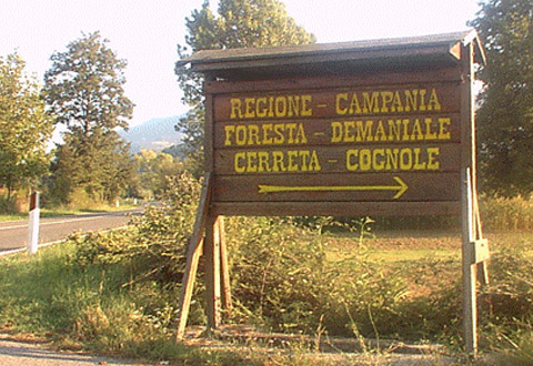 cerreta montesano homepage