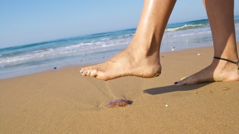 Spiaggia_medusa_1600x900