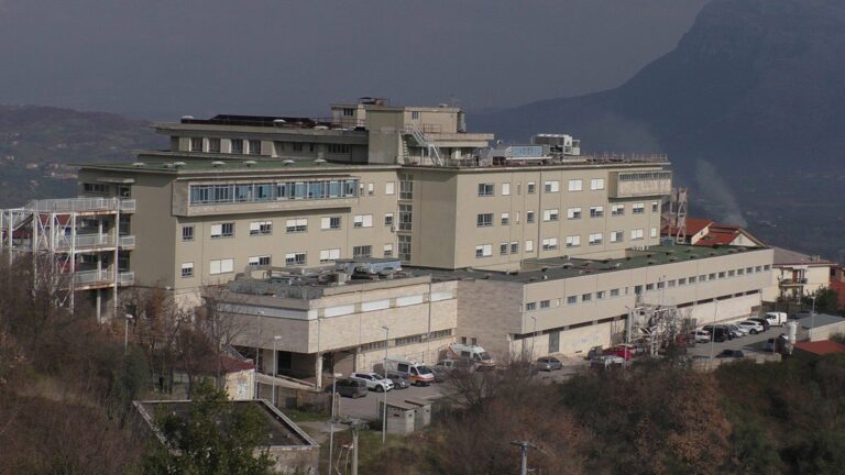 ospedale roccadaspide