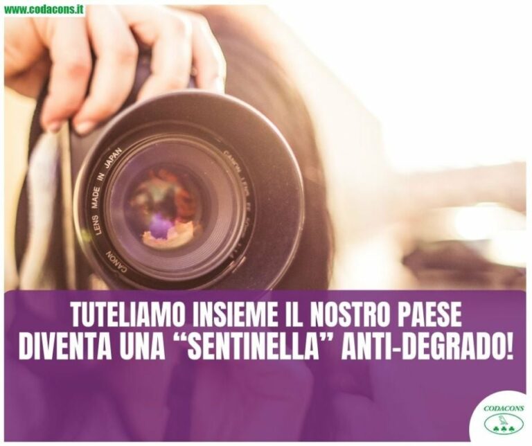 codacons-sentinella anti-degrado