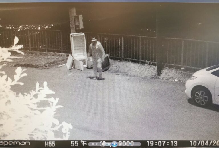 fototrappole vibonati 2