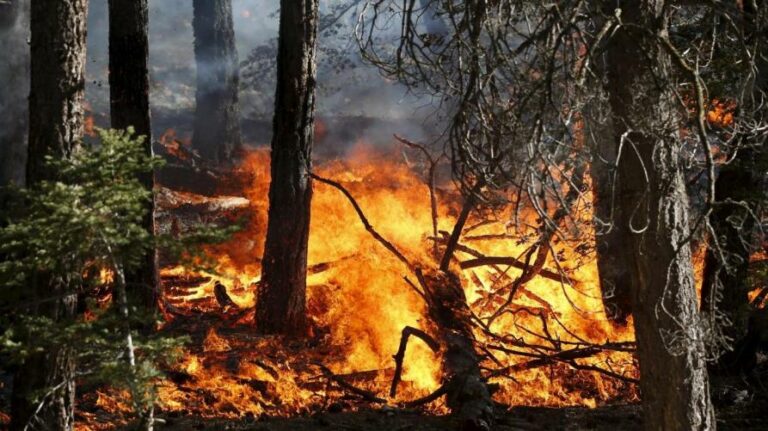 generica_incendio