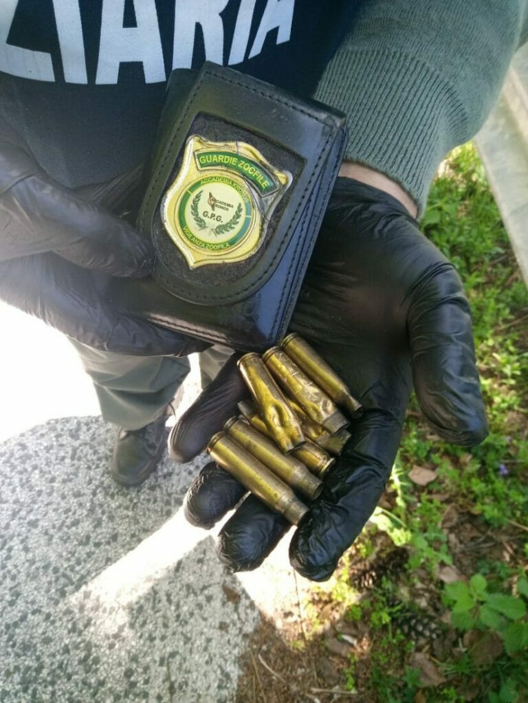 bossoli controlli a campagna accademia kronos