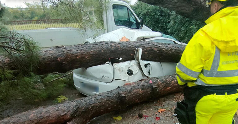 AUTO ALBERO BATTIPAGLIA NOVEMBRE 2022 FB