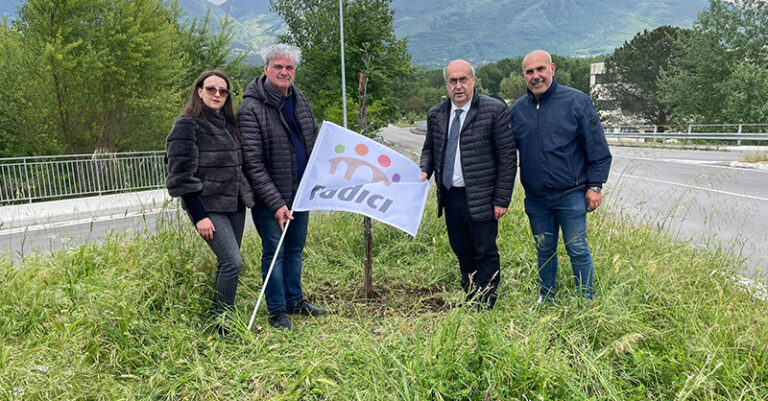 ULIVI ASSOCIAZIONE RADICI FB
