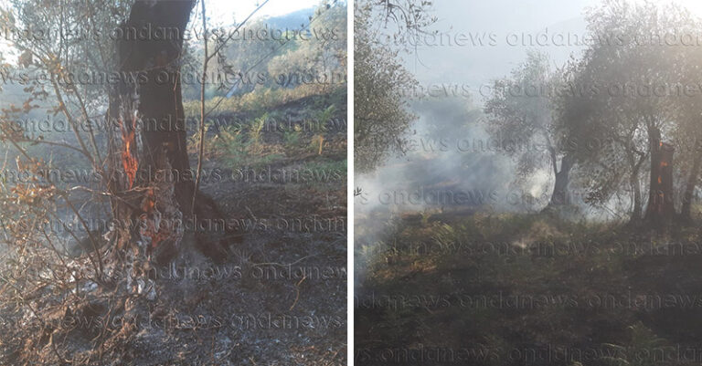 incendio uliveto polla fb