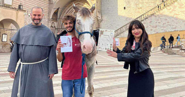CONO LA VEGLIA ASSISI FB
