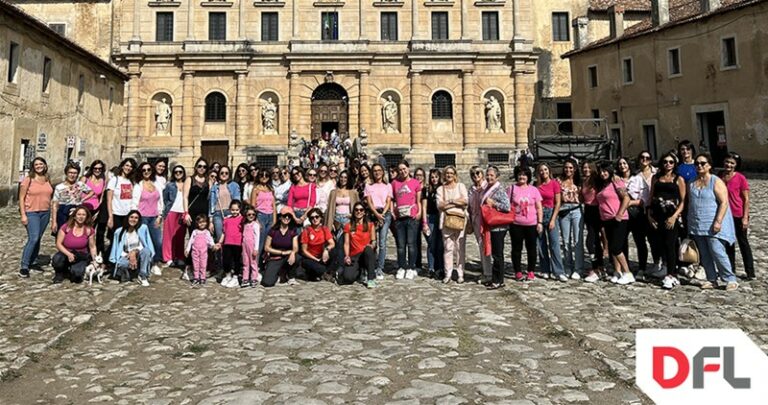 camminata rosa dfl fb