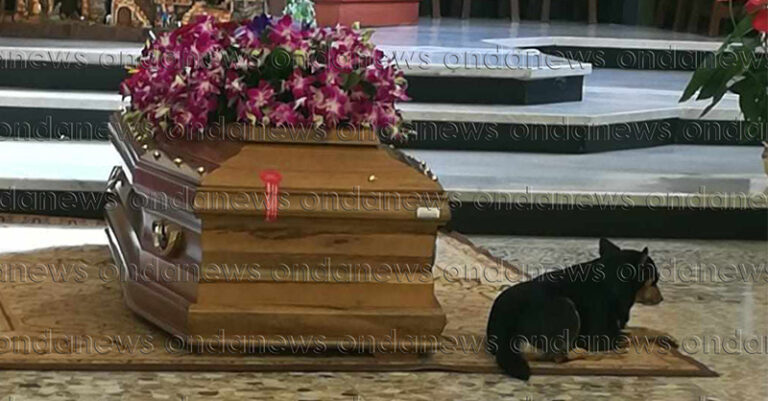 cane funerali polla fb