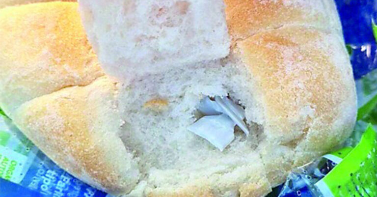 PANINO PLASTICA BATTIPAGLIA FB