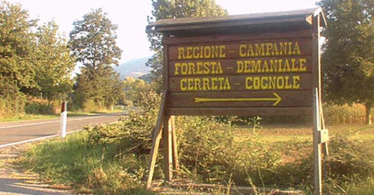 FORESTA CERRETA COGNOLE