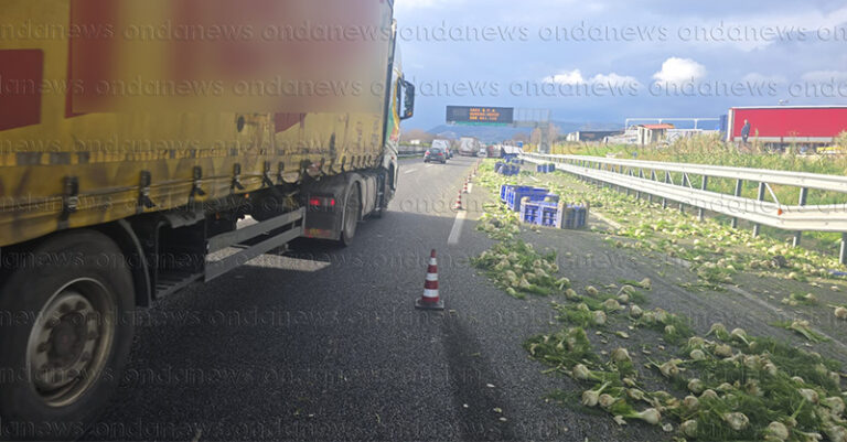 camion finocchi 3 febbraio fb