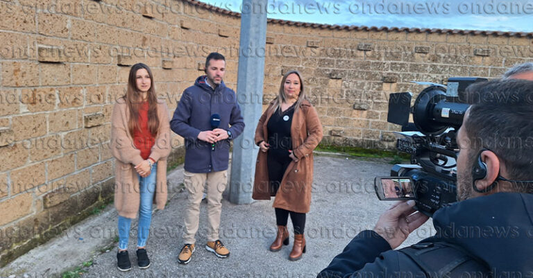 pomeriggio 5 a polla colonia felina