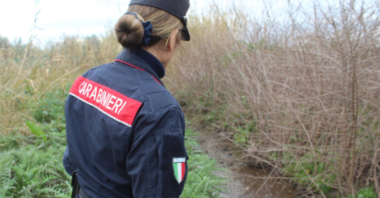 sequestro azienda bufalina eboli fb ok