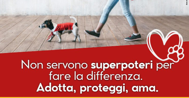 ADOZIONE CANI POLLA FB