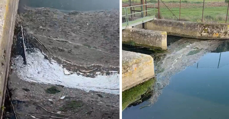 inquinamento fiume tanagro sassano fb