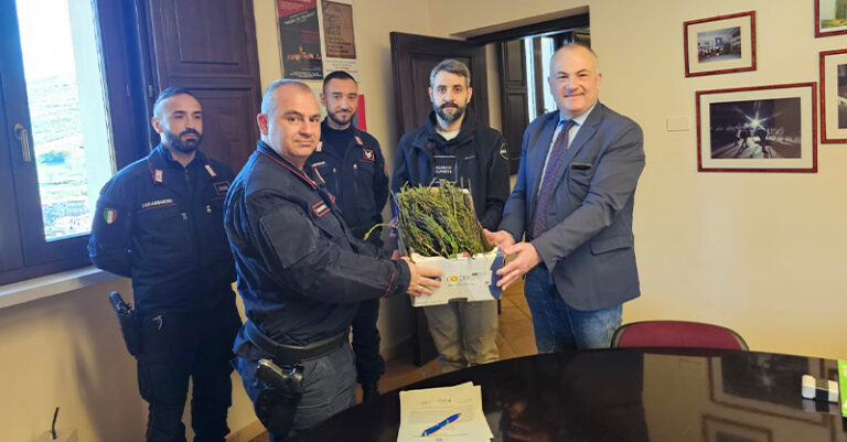 asparagi-sequestrati-polla-fb