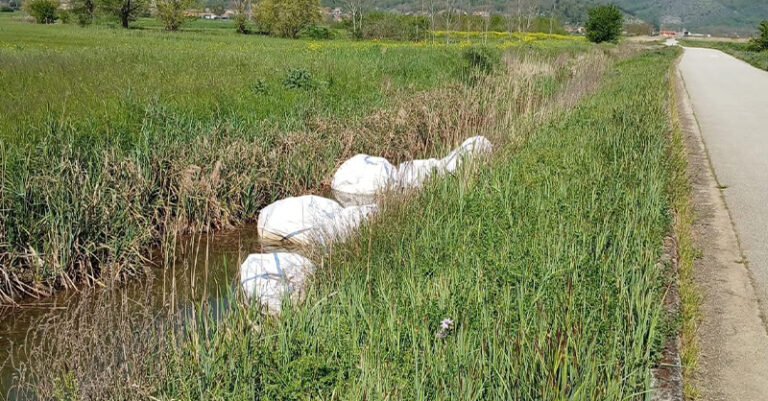 rifiuti abbandonati-sant'arsenio-aprile25-FB